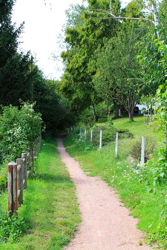 Départ du chemin dédié aux VTT.