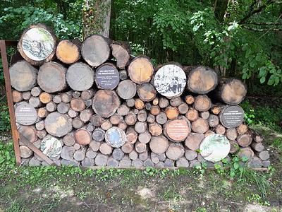 Quelques informations sur des grumes...