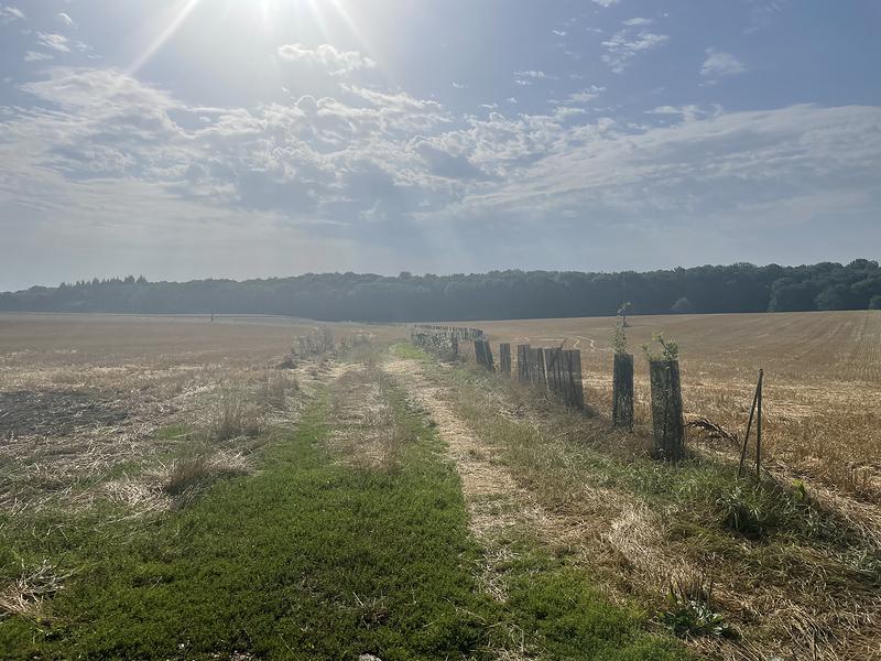 Le chemin à emprunter pour sortir et rejoindre la forêt