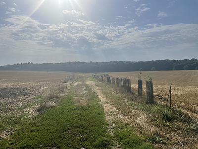Le chemin à emprunter pour sortir et rejoindre la forêt