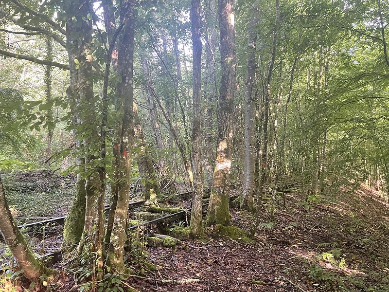 L'ancienne voie de chemin de fer