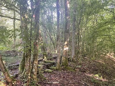 L'ancienne voie de chemin de fer
