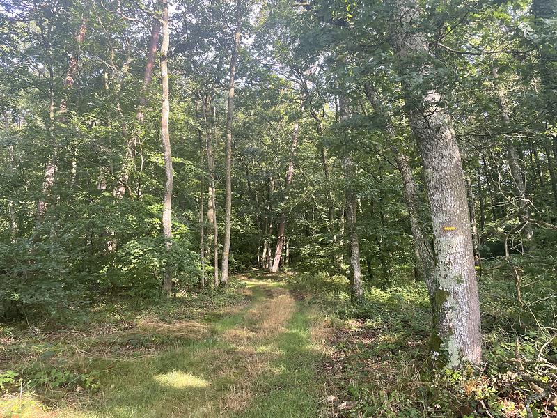 Le balisage du sentier