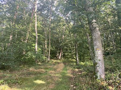 Le balisage du sentier