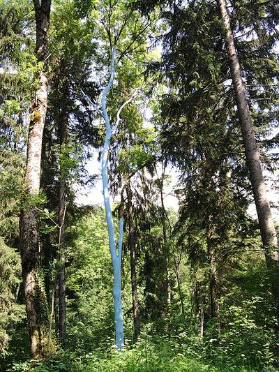 L’Arbre bleu n’apparaît qu’aux Apprentis qui iront au bout de leur quête…