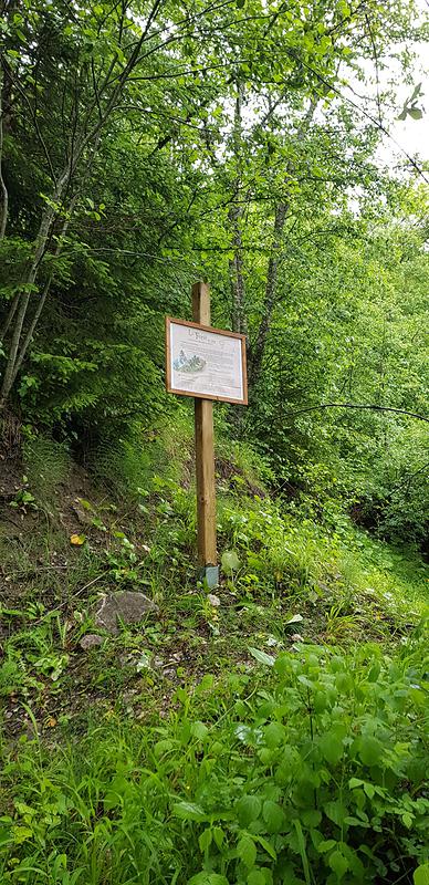 Le panneau "La forêt ivre"