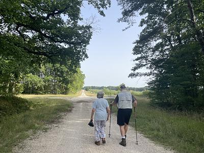 La balade du chêne de l'évangile
