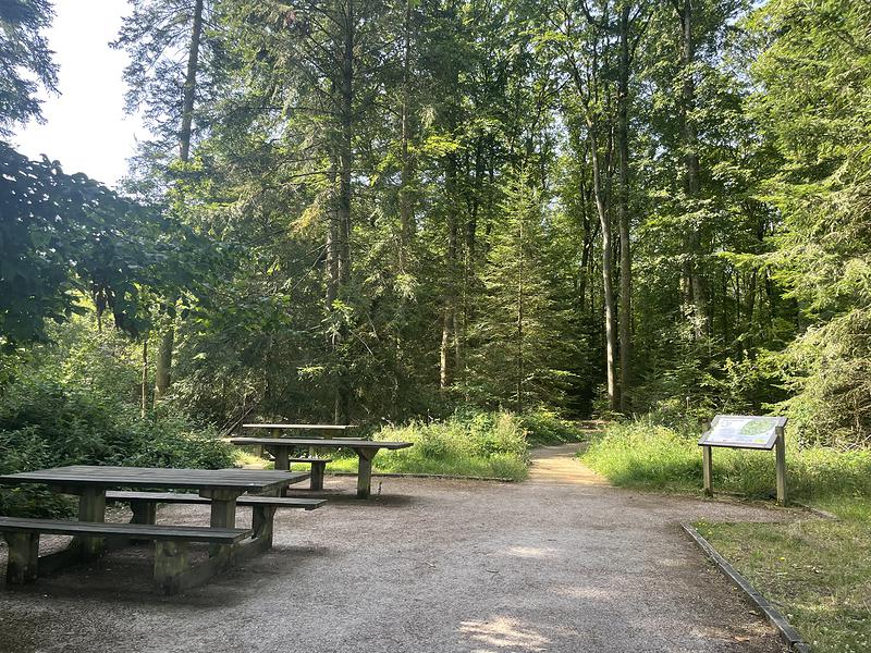 Des tables de pique-nique