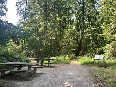 Des tables de pique-nique