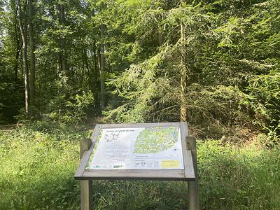 Le sentier de l'Orée du bois