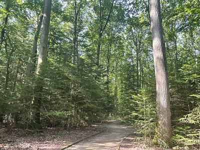 Les chemins sont accessibles à tous
