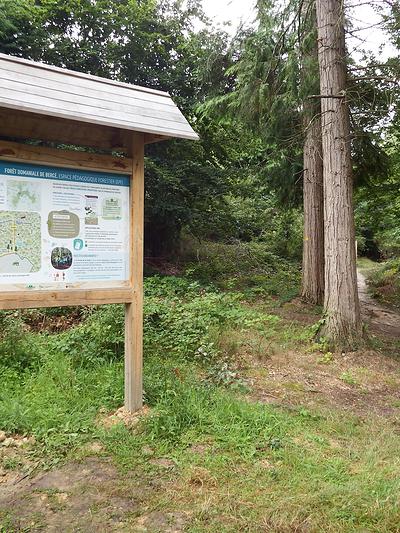 L'Espace pédagogique forestier de la forêt de Bercé vous propose un parcours de découvertes pour petits et grands