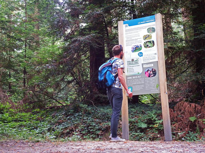 13 totems sont répartis sur le sentier, chacun décline 3 parcours différents