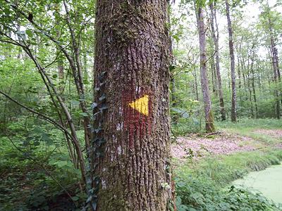 Le sentier est balisé, suivez les marquages jaune