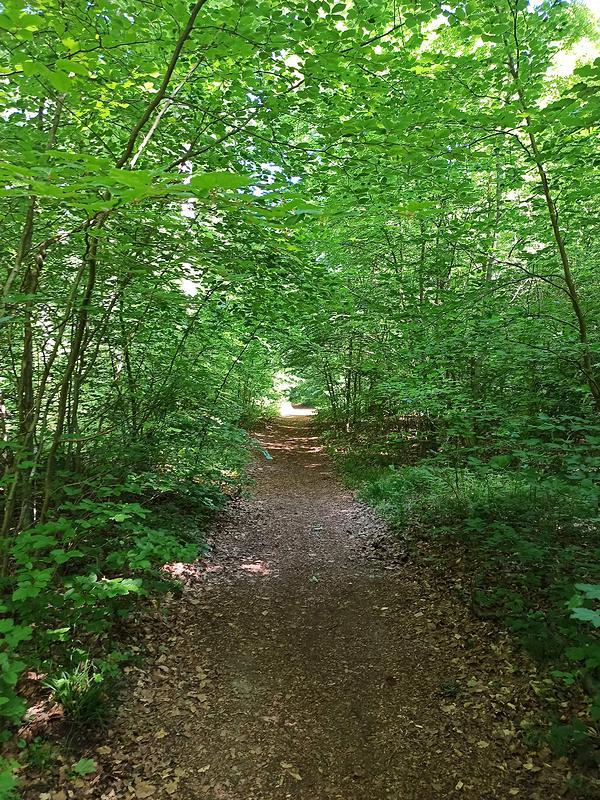 Le parcours emprunte des chemins bucoliques...