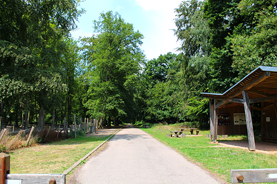 A l'entrée du parc, des tables de pique-nique permettent de profiter de la vue sur les sangliers.