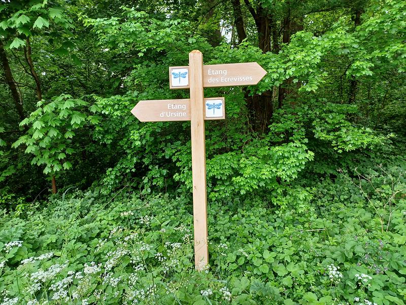 Flèches directionnelles pointant vers les étangs