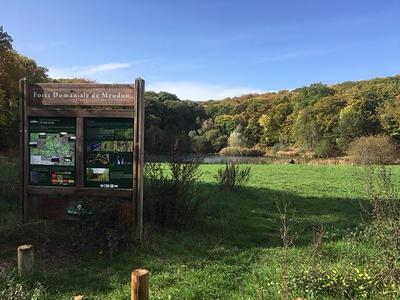 Panneau d'information devant l'étang de Meudon