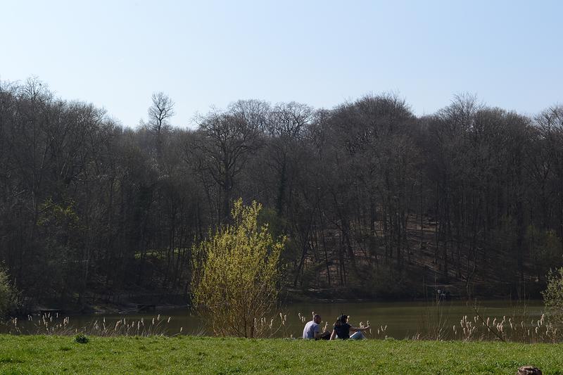 Les étangs offrent également des lieux de répit durant la balade
