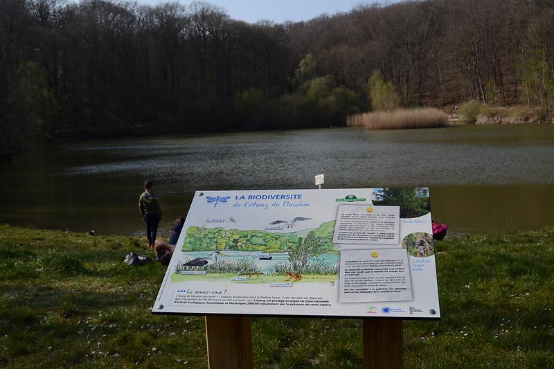 Des pupitres et panneaux sont placés devant les étangs pour en apprendre plus sur la biodiversité