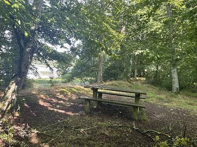 Une table de pique-nique sur le sentier
