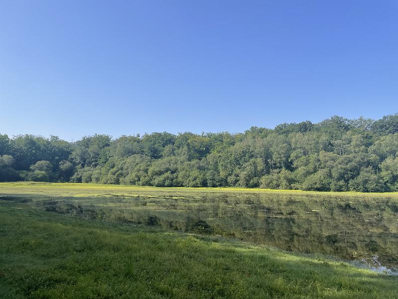 L'étang de la Benette