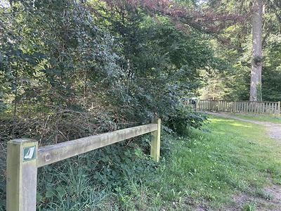 La balade équestre en forêt de Senonches