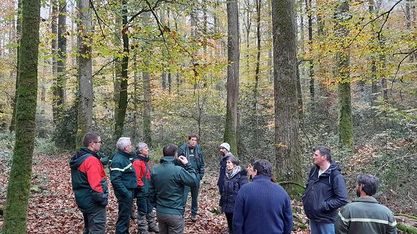 Les membres du comité scientifique du Vallon de l'Hermitière réunis en forêt domaniale de Bercé (Sarthe)
