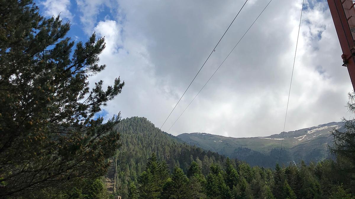 Vue des grumes suspendues au câble