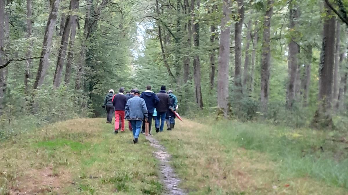 La pluie n'a pas dissuadé ces promeneurs passionnés de nature.