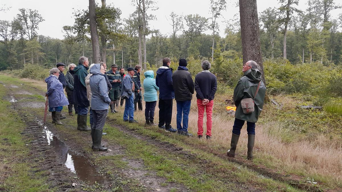 Et heureux de poser leurs questions sur la sylviculture, ses méthodes, objectifs et enjeux en forêt domaniale de Boulogne.