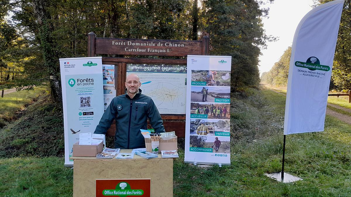 En forêt domaniale de Chinon, c'est le technicien forestier Pascal Maillet qui anime la balade commentée sur les parcelles dont il s'occupe.