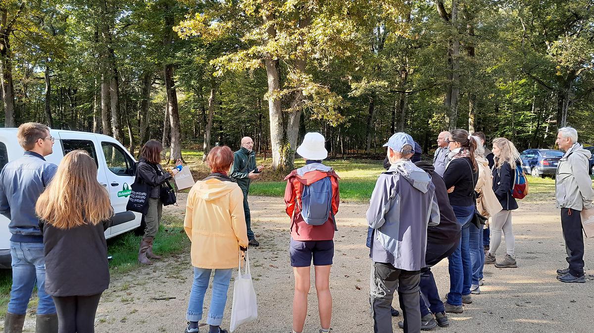 Après une introduction sur les missions de l'ONF, la nouvelle application mobile et la cueillette des champignons, le groupe avance vers le premier point d'intérêt.