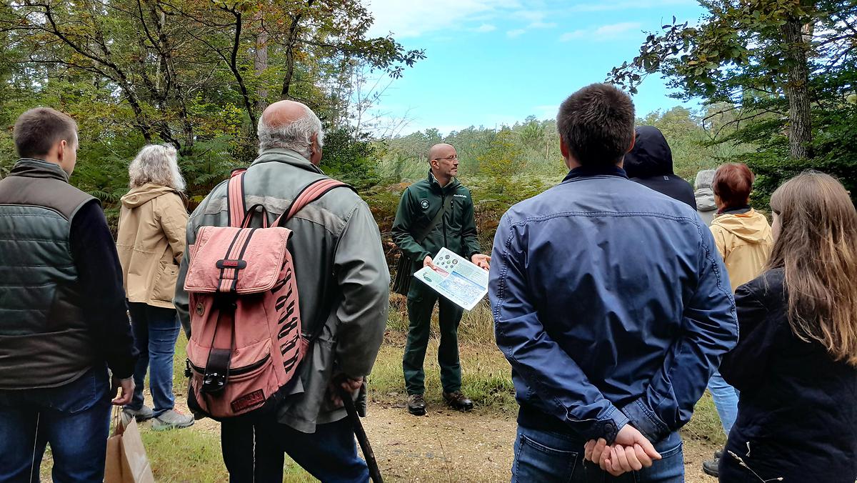 De la graine au chêne, explications sur la régénération naturelle de la forêt de Chinon. Accompagnée par une diversification des modes de gestion et des essences, pour la rendre plus résiliente face aux sécheresses, maladies et parasites.
