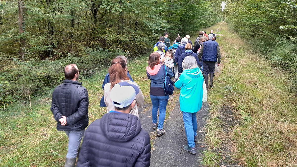 La promenade rassemble des amoureux de la forêt de tous les âges, de l'adorable bébé à l'honorable senior, avec la présence très appréciée de Pierre Bonnaire.