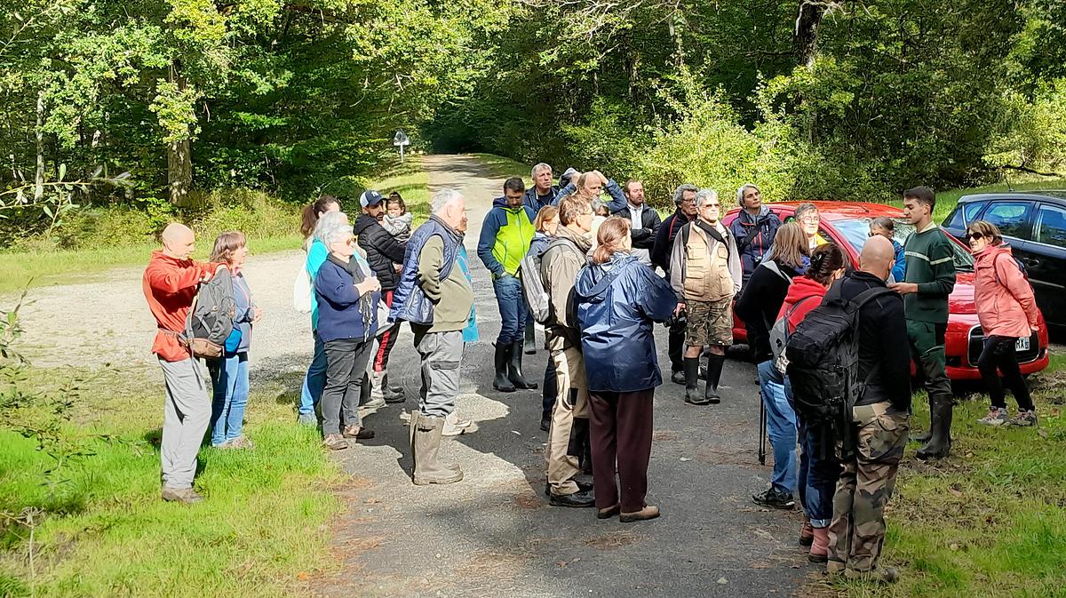 A chaque étape, Robin détaille les différents aspects de cette forêt et les missions de l'ONF : vie des peuplements, production durable de bois, accueil du public, préservation de l'environnement… Une balade qui muscle l'esprit et les jambes !