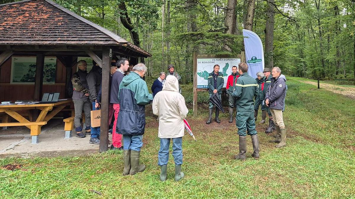 Après le mot d'accueil en forêt domaniale de Boulogne, Yann Vandebeulque, responsable de l'équipe ONF de Loir-et-Cher, raconte l'histoire de la forêt.