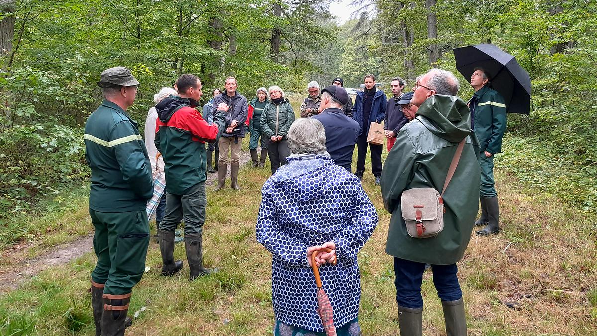 Didier et ses collègues, Jérôme Pineau et Delphine Jammes, apportent aussi leur expertise en biodiversité en tant que forestiers naturalistes de l'Office.