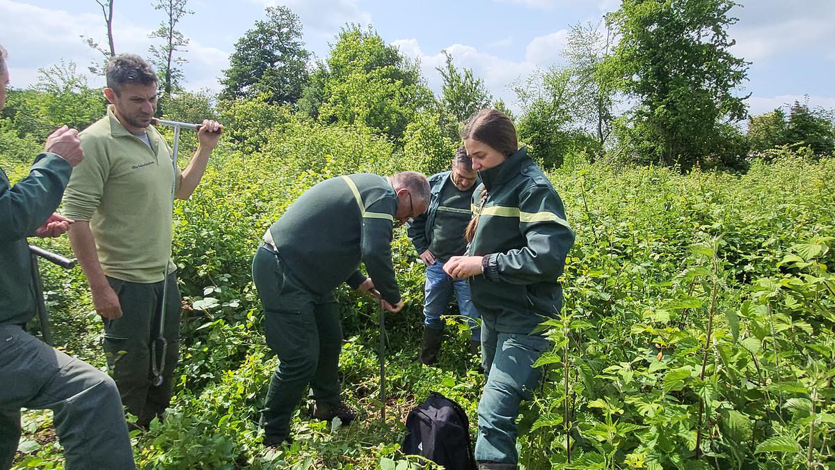 Photo d'un sondage pédologique dans le cadre d’un diagnostic RenouvEau en forêt communale de Tavaux (Jura)