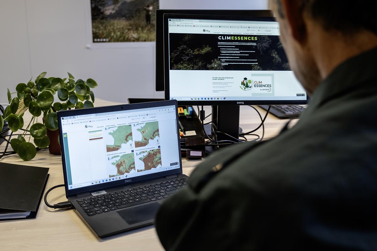 Forestier utilisant la plateforme Clim Essences