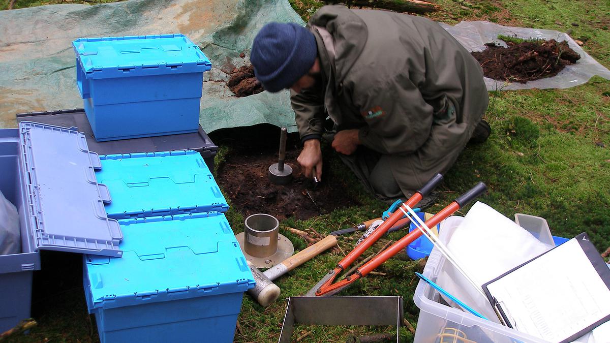 Le sol est le " garde manger " des arbres, il faut donc l'étudier