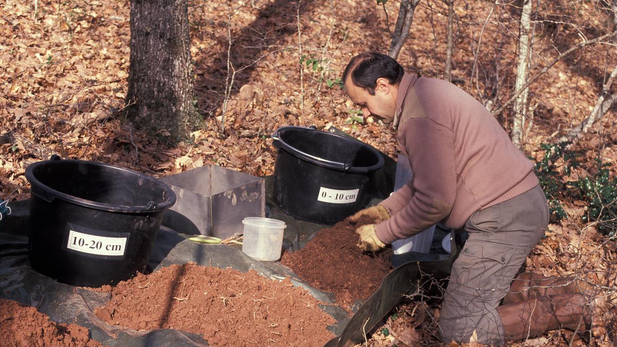 L'échantillonnage des sols est répété tout les 15 ans, afin de suivre leur évolution