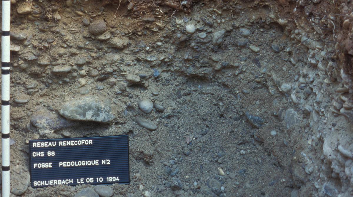 Brunisol oligosaturé