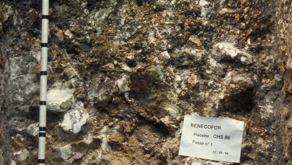 Brunisol oligosaturé