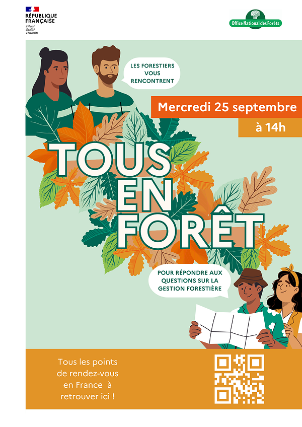 affiche de la Journée internationale des forêts