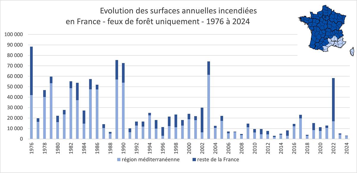 Graphique montrant l'évolution des surfaces annuelles incendiées en France de 1976 à 2024