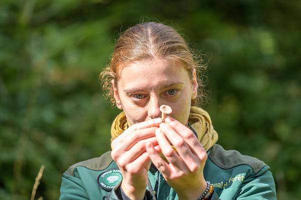 Charlotte Virgillito, responsable d’unité territoriale Est Cantal, identifie un champignon par observation.