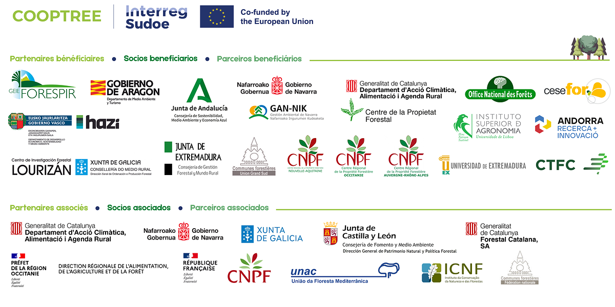 Logos des partenaires du projet