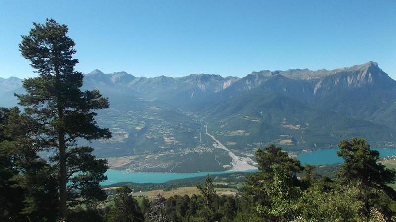 Forêt domaniale de Boscodon (Hautes-Alpes)