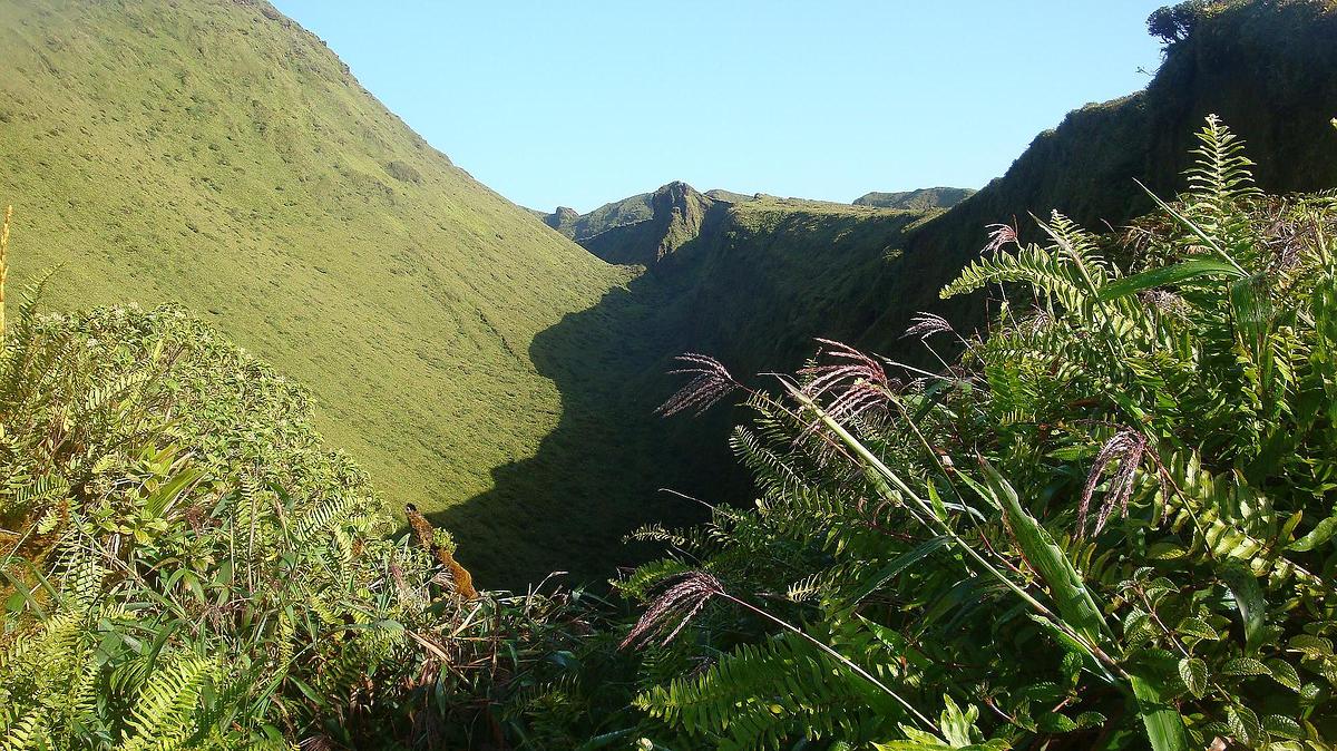 Paysage de la montagne Pelée